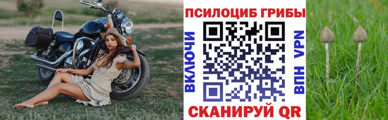 Галлюциногенные грибы ЛСД  Купить  Чишмы 